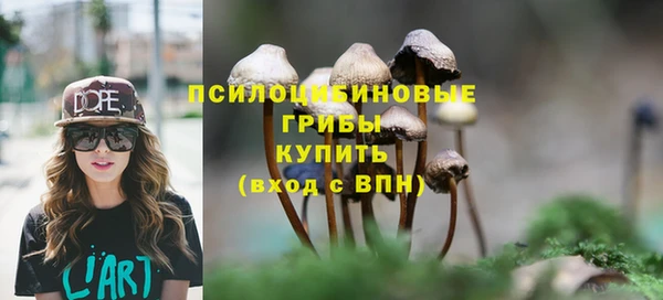 дживик Белоозёрский