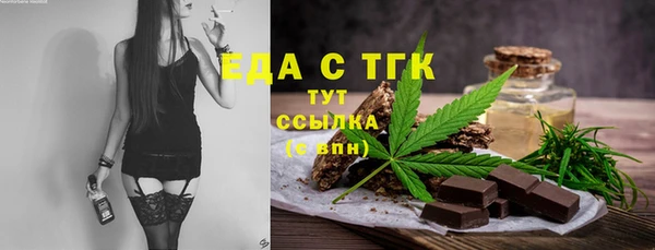 шишки Сосновый Бор