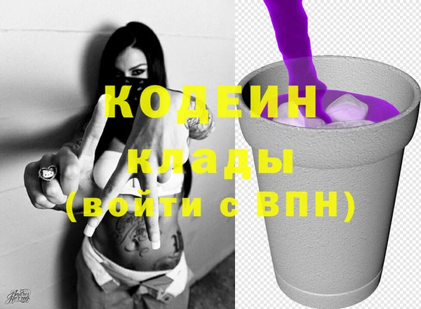 шишки Сосновый Бор