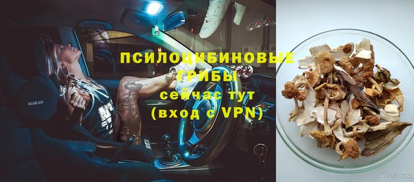 мдпв Сосновка