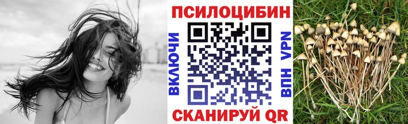 мориарти состав  Великий Устюг  Галлюциногенные грибы MAGIC MUSHROOMS 